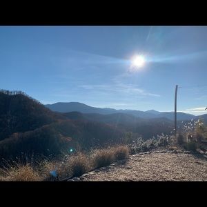 Meet your Posher, Jessie